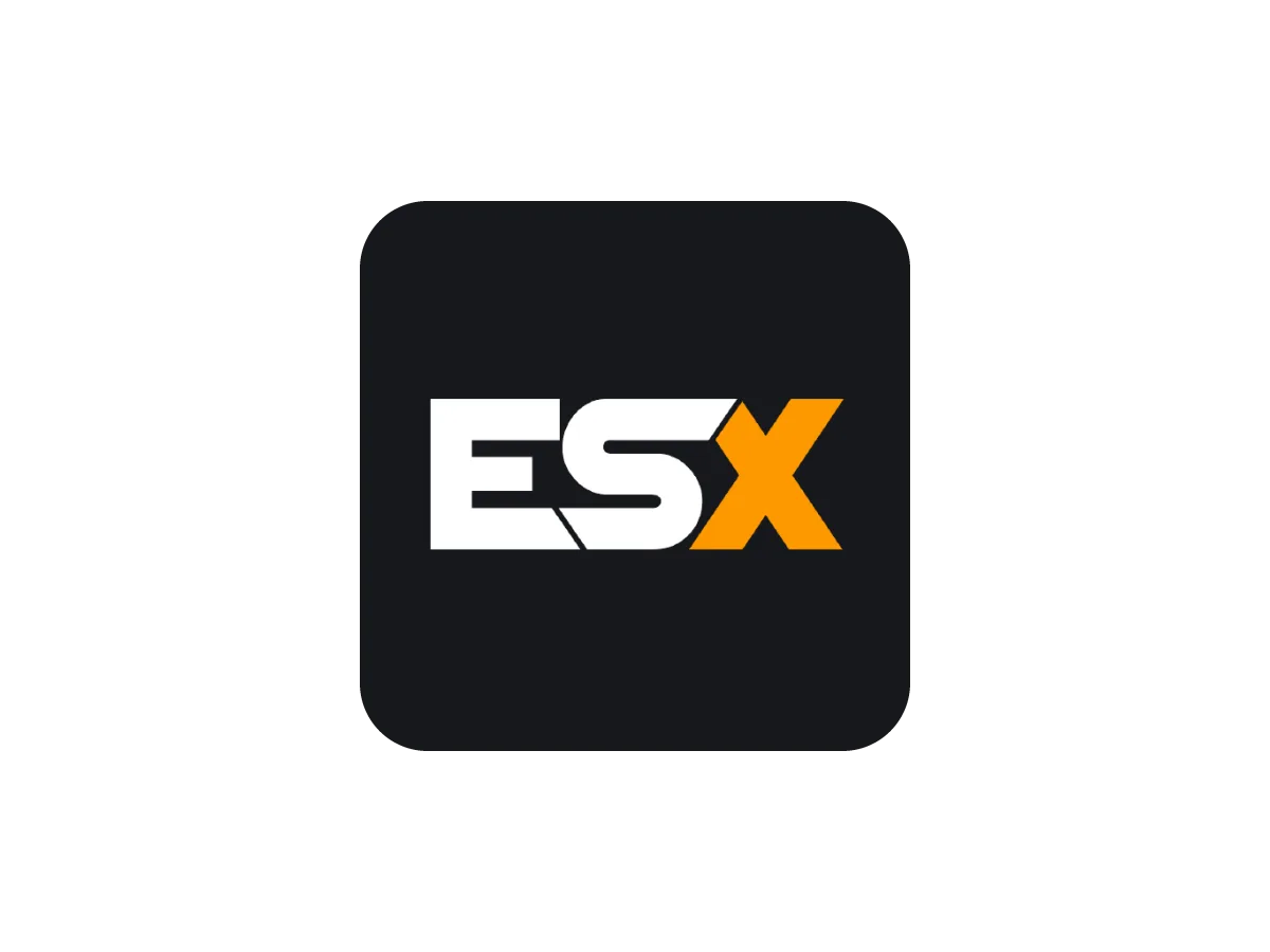 What Do You Actually Need on Top of ESX to Have a Playable Server?