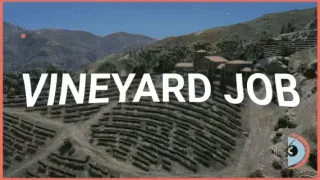 Full Vineyard Job Script video thumbnail