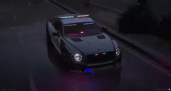 Police Car Pack Lowpoly FiveM car script - feature detail